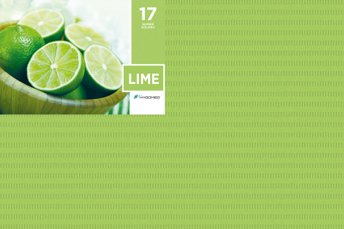 Serwety_skladane_100_szt_17_Lime.jpg