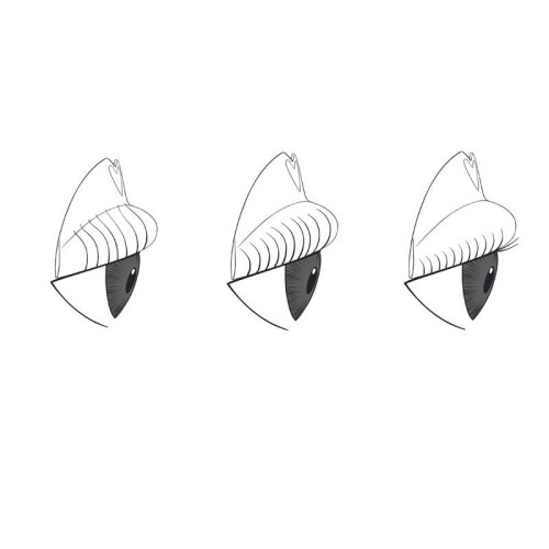 Refectocil Refill Eyelash Lift Pads M - 1 para